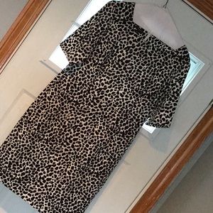 Talbots dress